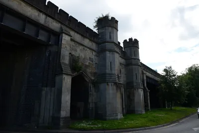 DSC_2684 (Large).JPG